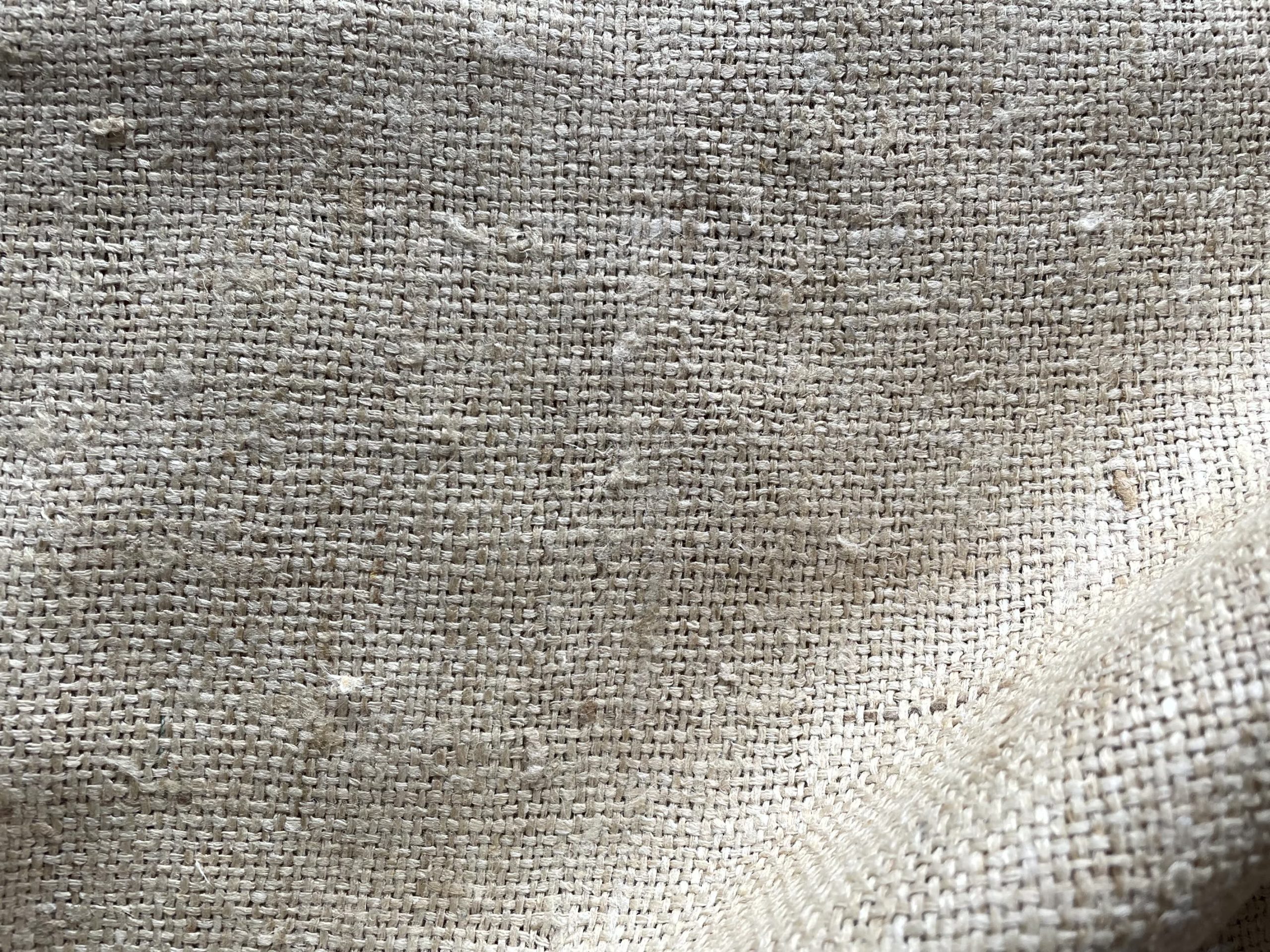 SEDA NEPAL - Imagen 2