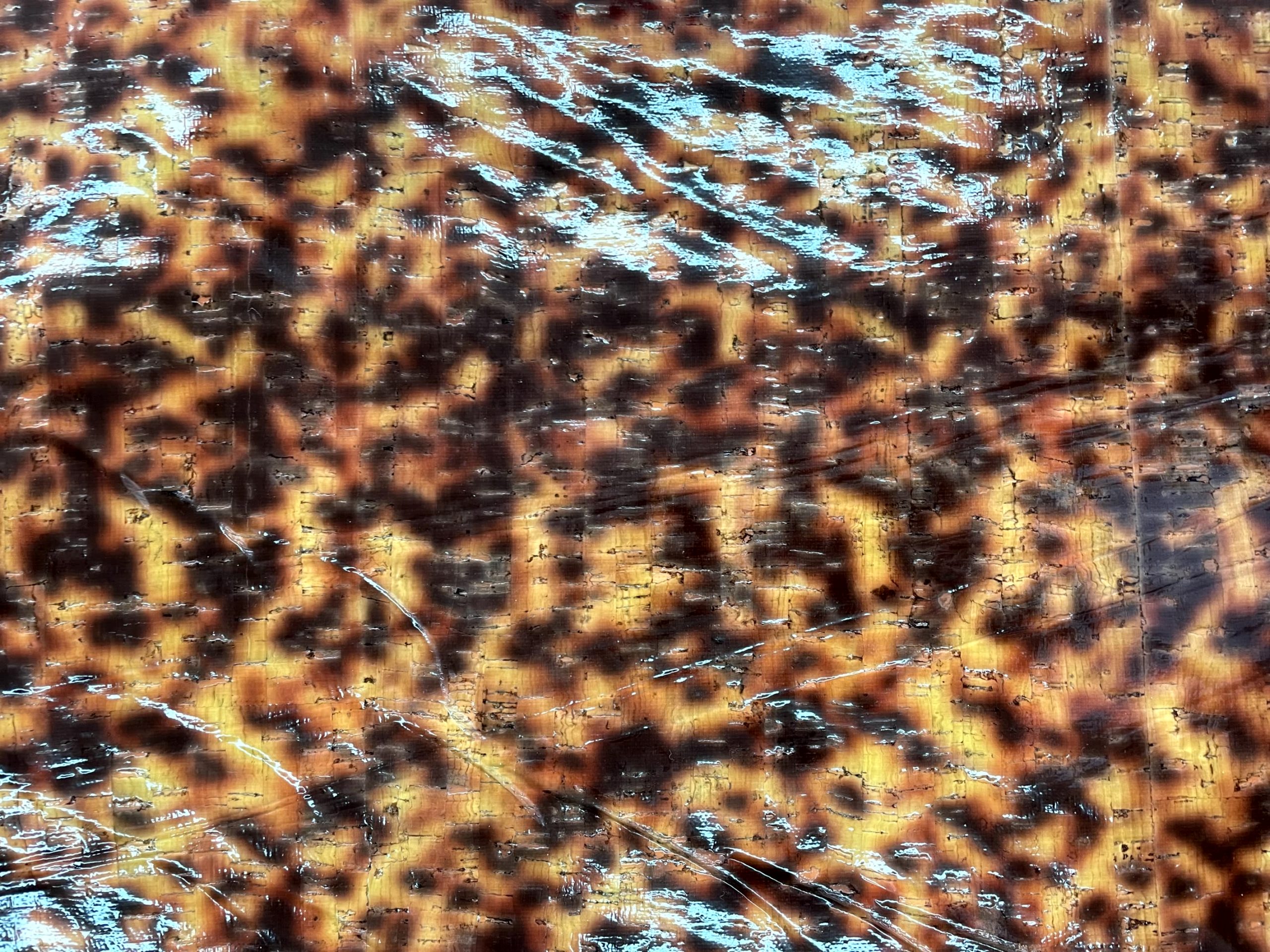 CORCHO CAREY BARNIZ - Imagen 3