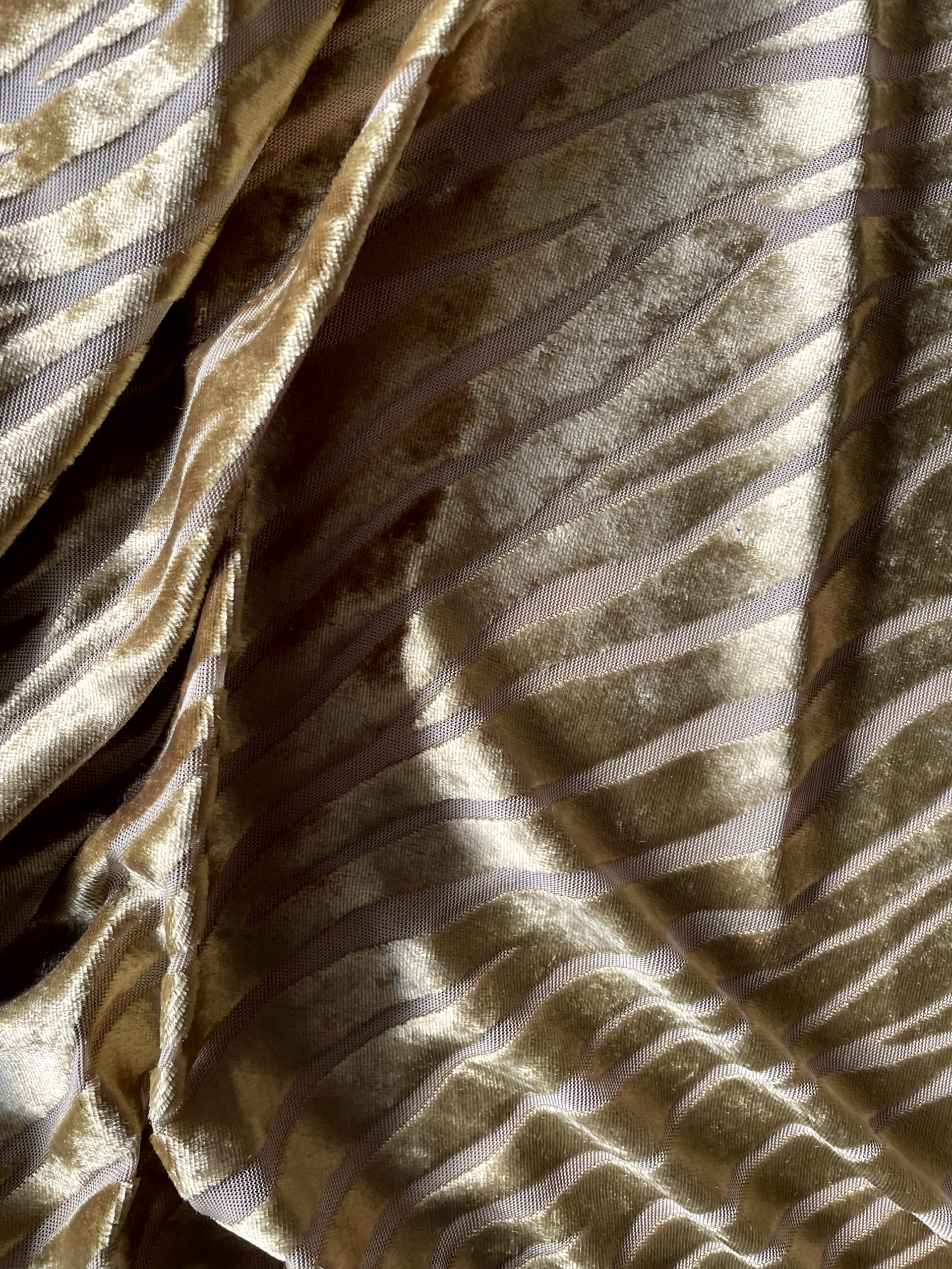 DEVORÉ ZEBRA - Imagen 8