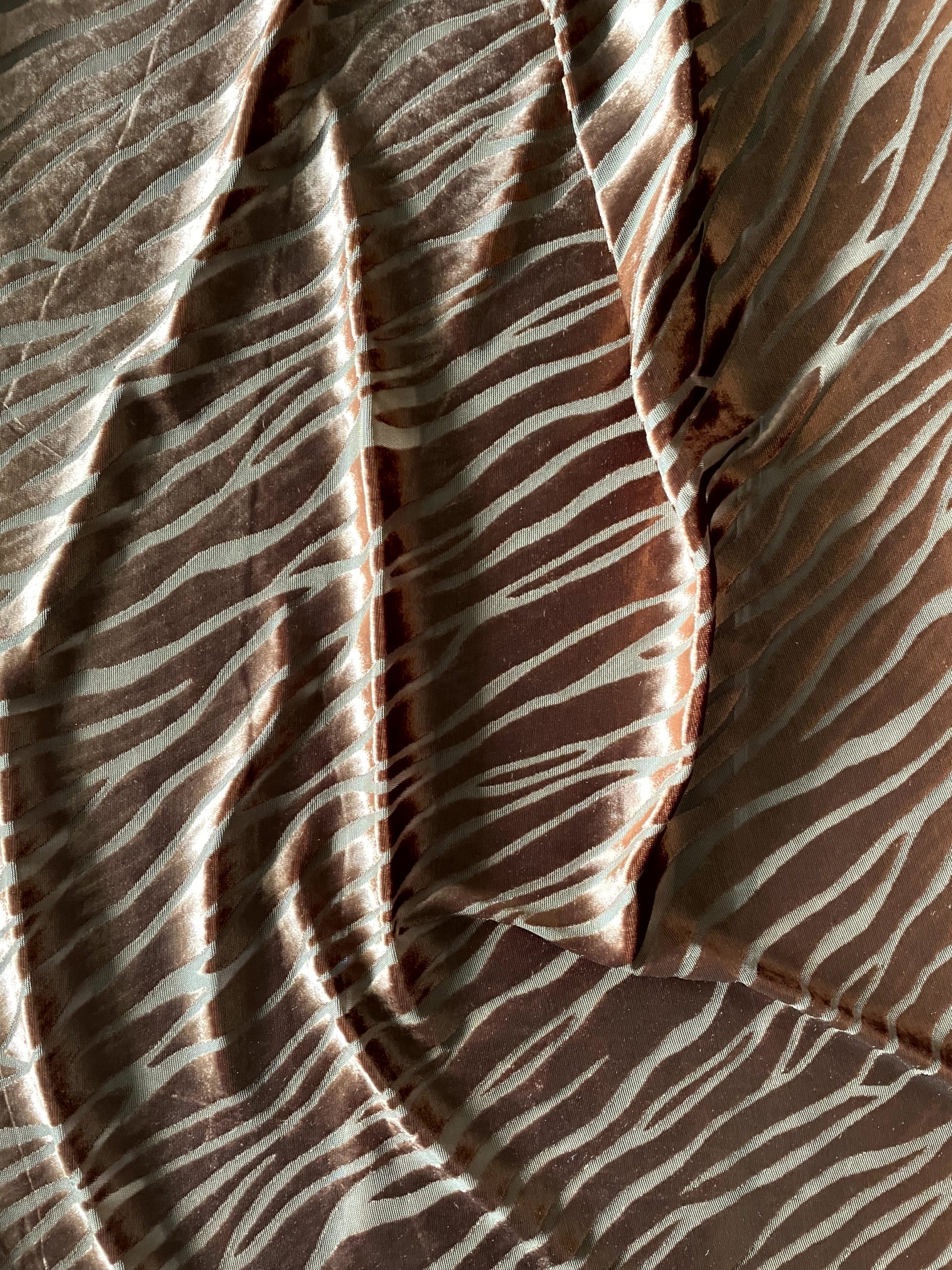 DEVORÉ ZEBRA - Imagen 5