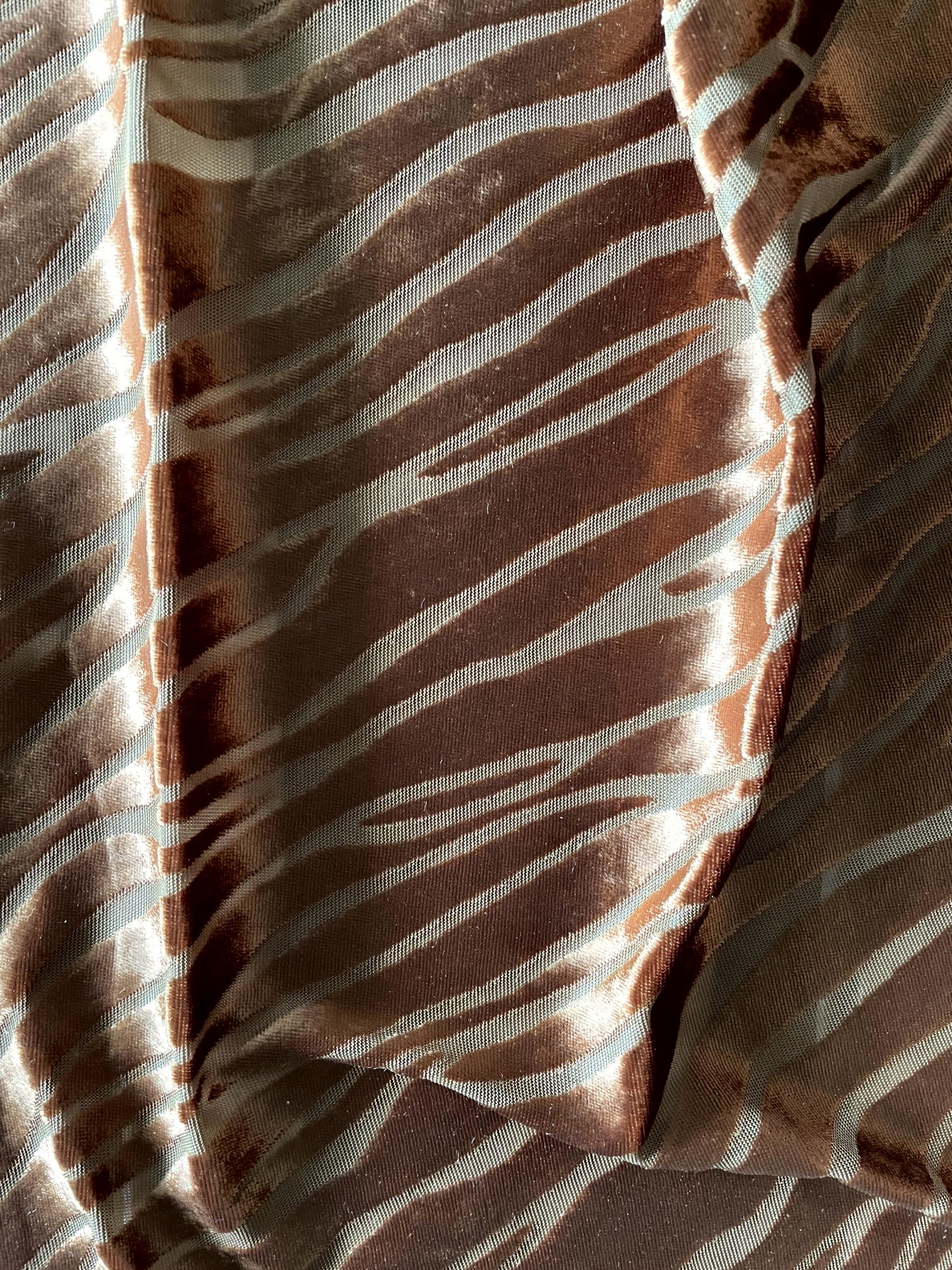 DEVORÉ ZEBRA - Imagen 4