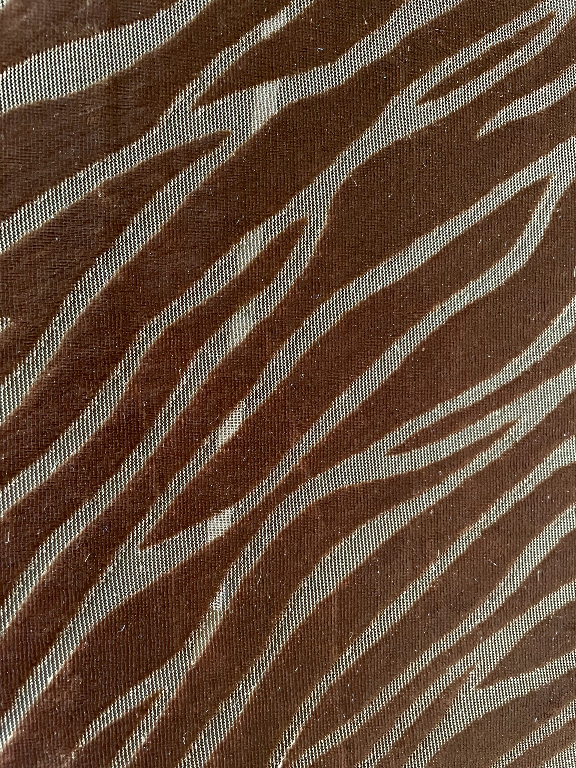 DEVORÉ ZEBRA - Imagen 2