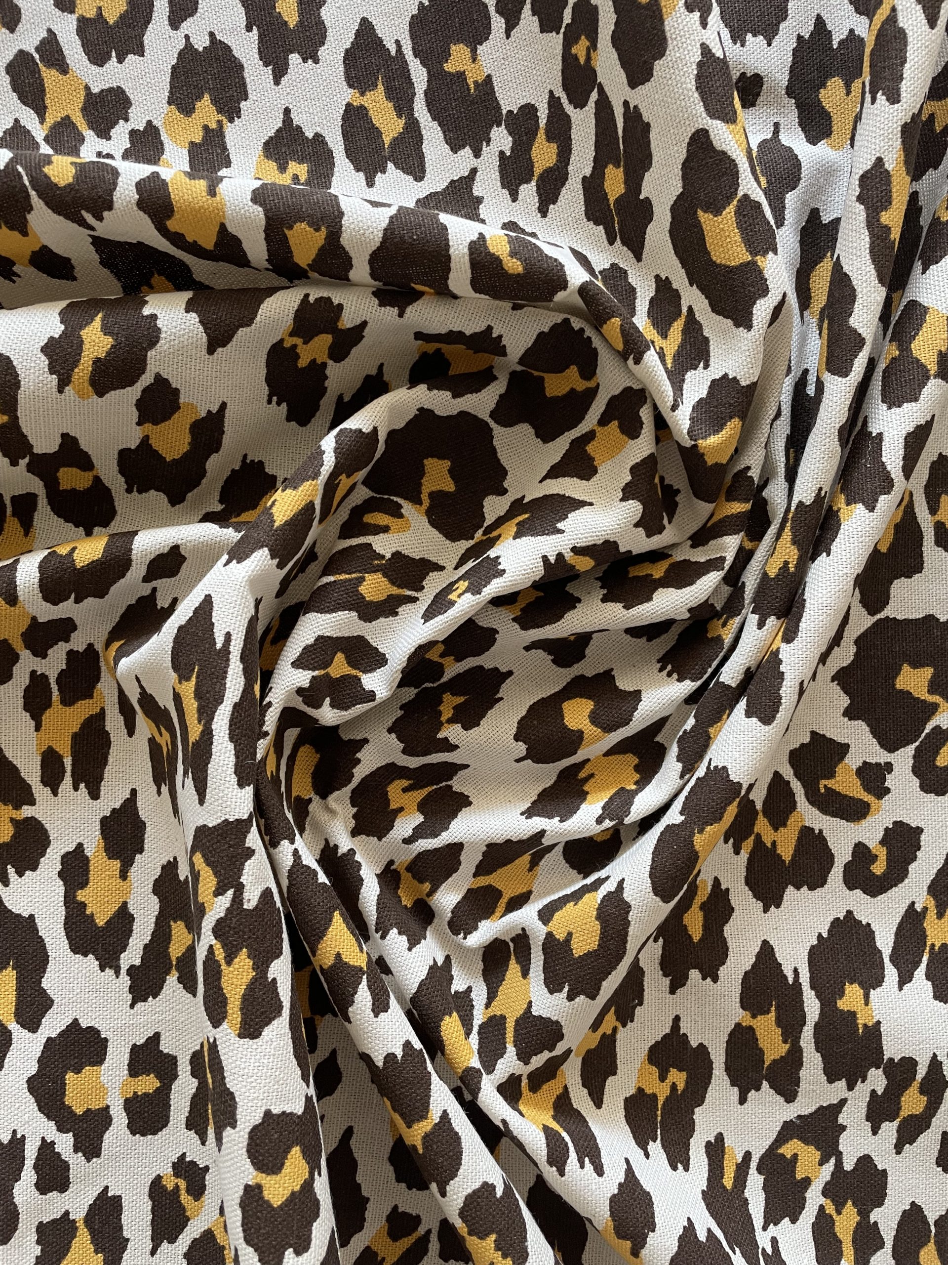 ZOO - Imagen 6