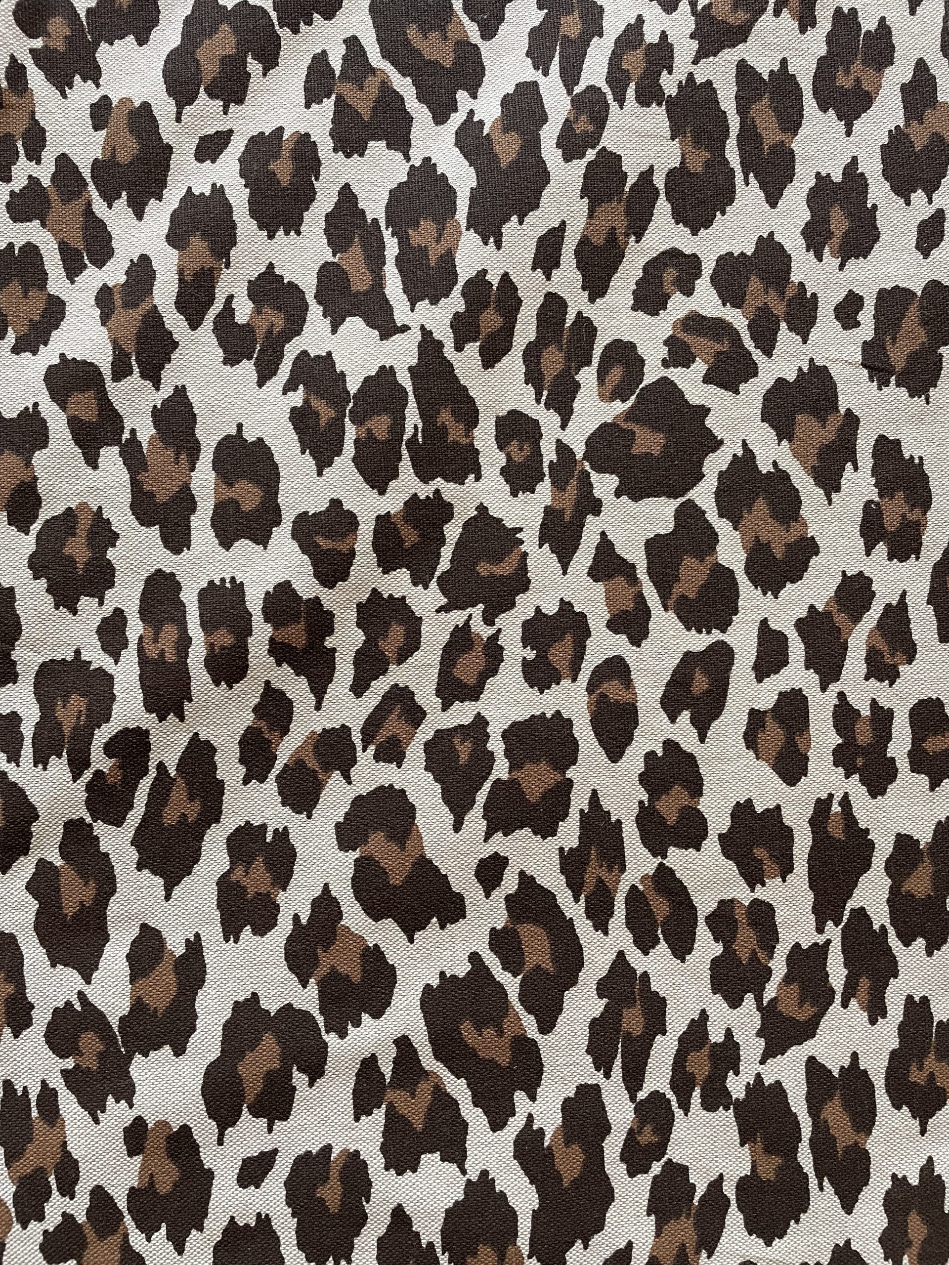 ZOO - Imagen 4