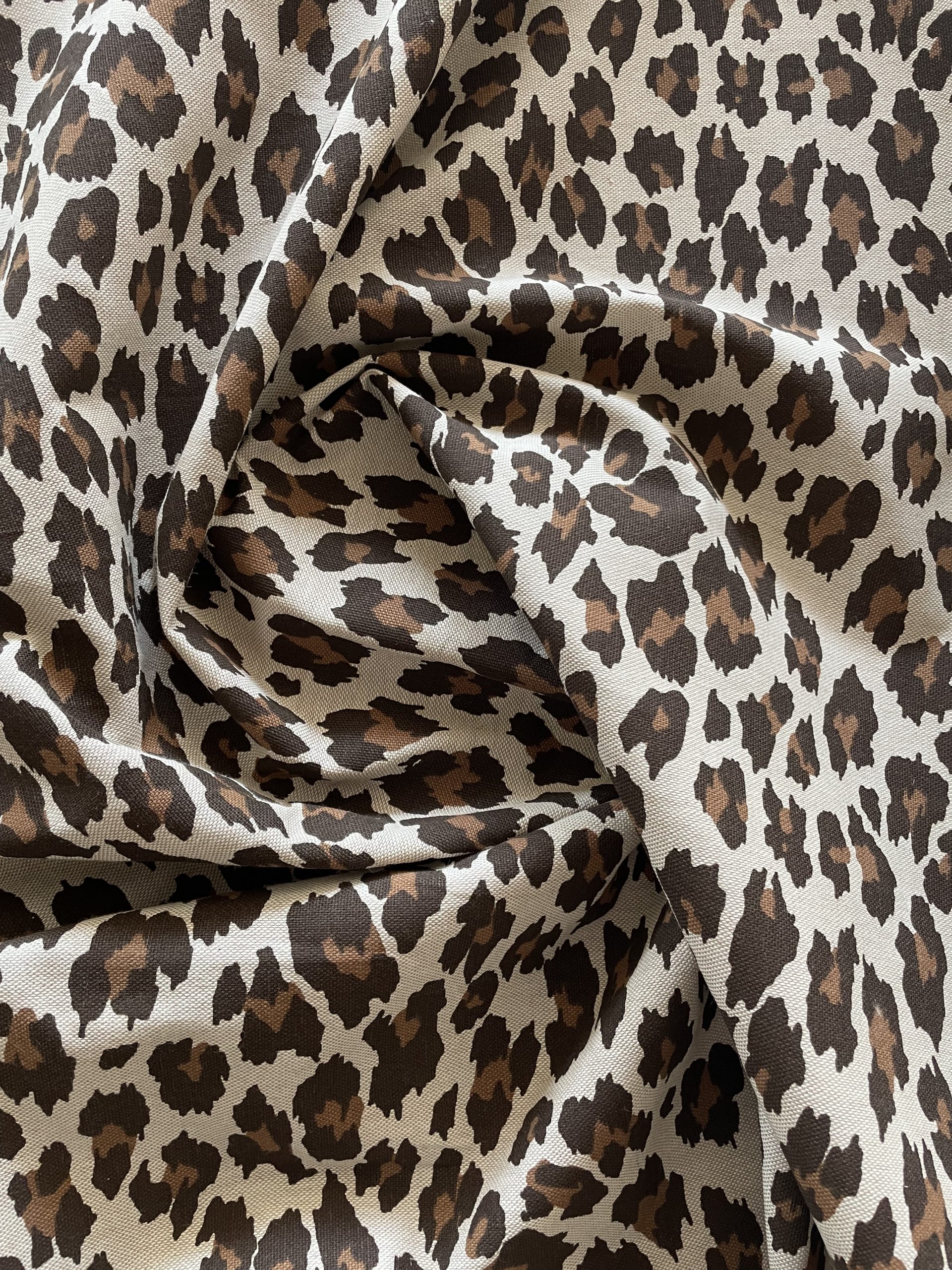 ZOO - Imagen 2