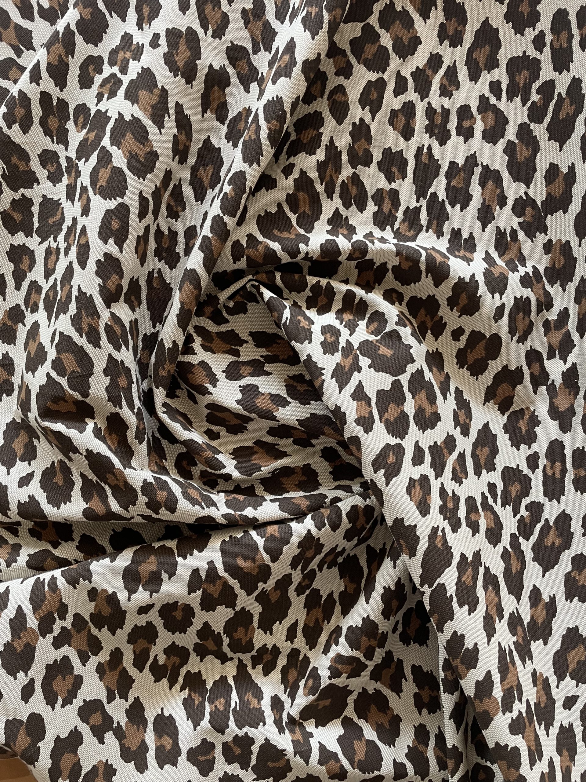 ZOO - Imagen 3